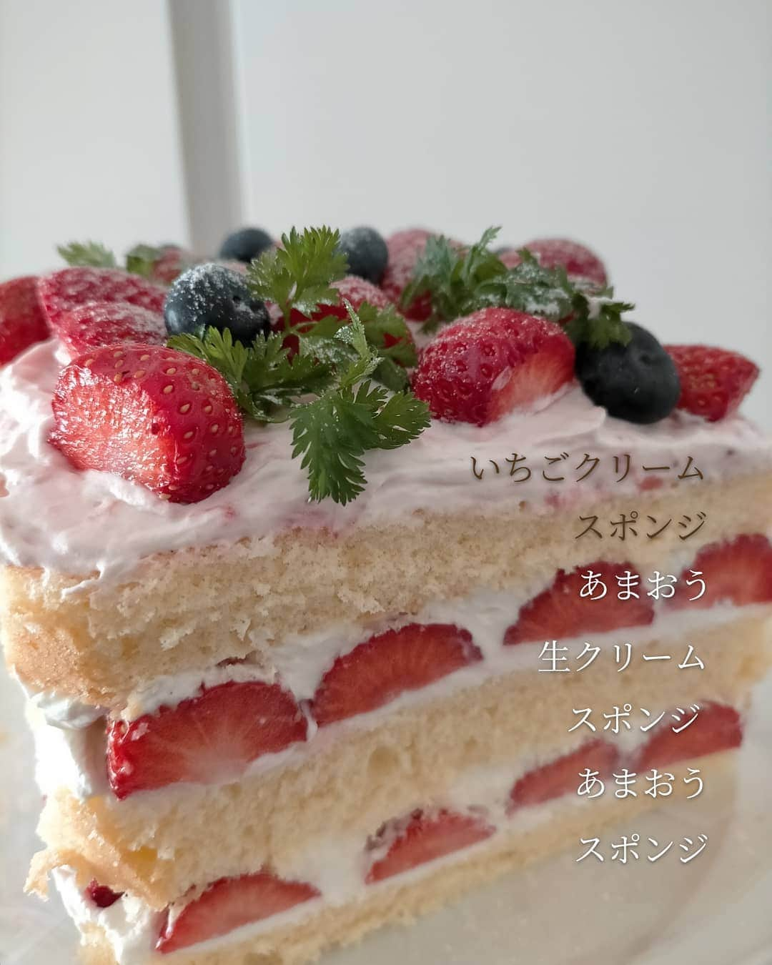 おぎたともこさんのインスタグラム写真 - (おぎたともこInstagram)「ケーキ作った ( °∀° )/   丸いスポンジを焼いて、四辺をカットして四角にした✨  それっぽいの出来た😊  #このみ #おぎたともこ #いちご #デコレーションケーキ #手作りケーキ #いちごスイーツ #いちごクリーム」1月21日 22時39分 - konomiogitatomoko