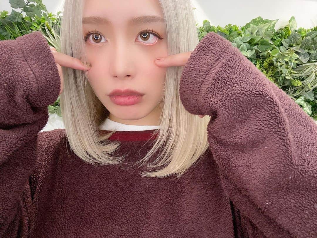 acaneのインスタグラム：「・ @regen_lab_ で 新しい髪色にしてもらいました。 2ヶ月ぶり？くらいの 全頭ブリーチして さらにハイトーンに👵🏻❤️❤️  もうすぐ終わり〜ってとこで 電気が消えてケーキ出てきて 誕生日プレゼントまでいただきました😭❤️  いやほんと何事！？！？ 美容室でそんなサプライズあると？w って大叫びしたwwwwwww  約一年くらい2週間に1回は通って ハイトーンの髪の毛を傷まんように ごーさんがずっと守ってくれてる👵🏻笑  リジェンラボは 水素トリートメントが神で 5回以上ブリーチしてるacaneの髪の毛を サラサラにしてくれてます😭  ごーさんとてるさん いつもありがとうございます🥰💐  @5matsumoto @daisuke_terushita  『acaneのインスタ見た』で 全メニュー20%offになるので ぜひみんな表参道まで遊びに行ってね❤︎  #ハイトーン #髪色チェンジ #ブリーチカラー」