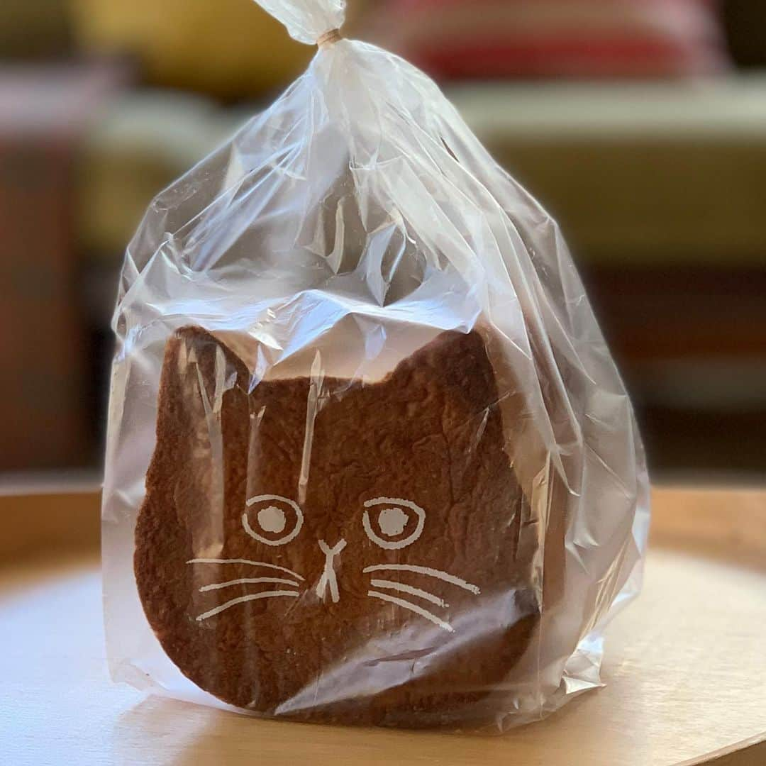 OKAさんのインスタグラム写真 - (OKAInstagram)「いただいた猫型パン。朝からうれしいニャ  #ねこねこ食パン」1月22日 8時28分 - ytrpics