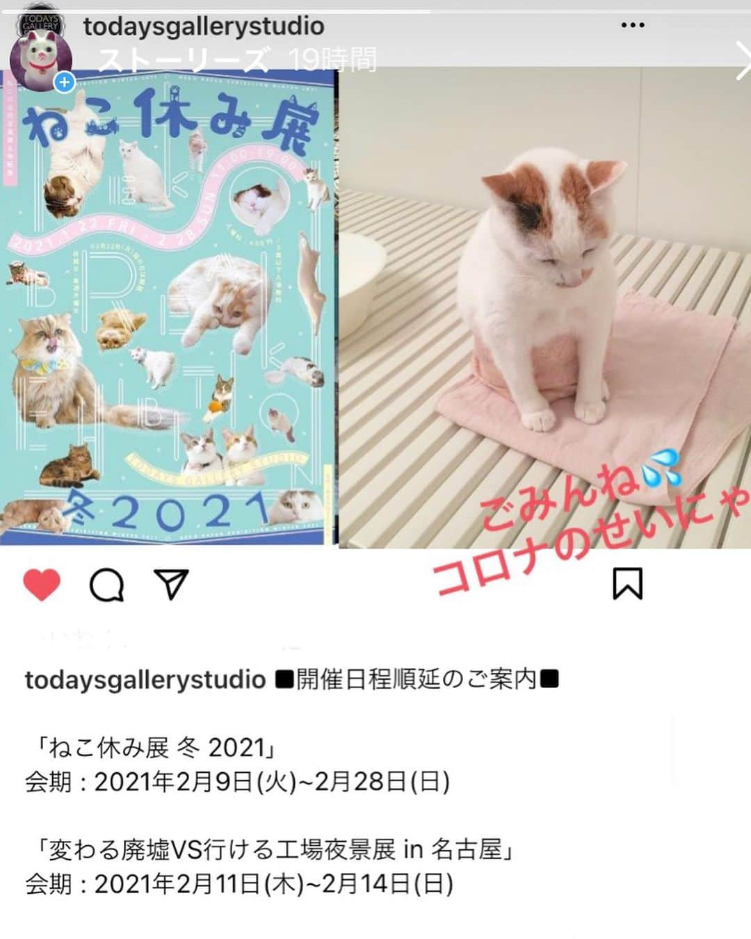 マルさんのインスタグラム写真 - (マルInstagram)「💗お知らせみん₍^·͈༝·͈^ฅ  「ねこ休み展　冬2021」の開催日変更の お知らせ。 コロナのせいで下記のとおり 延期となりましたので 楽しみにしてくださっていた 皆にゃ様、ごみんね💧 はやくコロナに勝利して 私達みんなの自由を取り戻すため 頑張ってるけど、 頑張るべし！😷 . 🔽開催日程は🔽 2021年02月09日(火) ~ 02月28日(日)  . #ねこ休み展#ステイホーム#新型コロナ #stayhome#癒し#にゃんすたぐらむ#おうち時間#cat#猫#三毛猫#猫との暮らし#catstagram#instagood #ペコねこ部#cute#ふわもこ部#ねこすたぐらむ #ねこのきもち」1月22日 8時32分 - maruruna