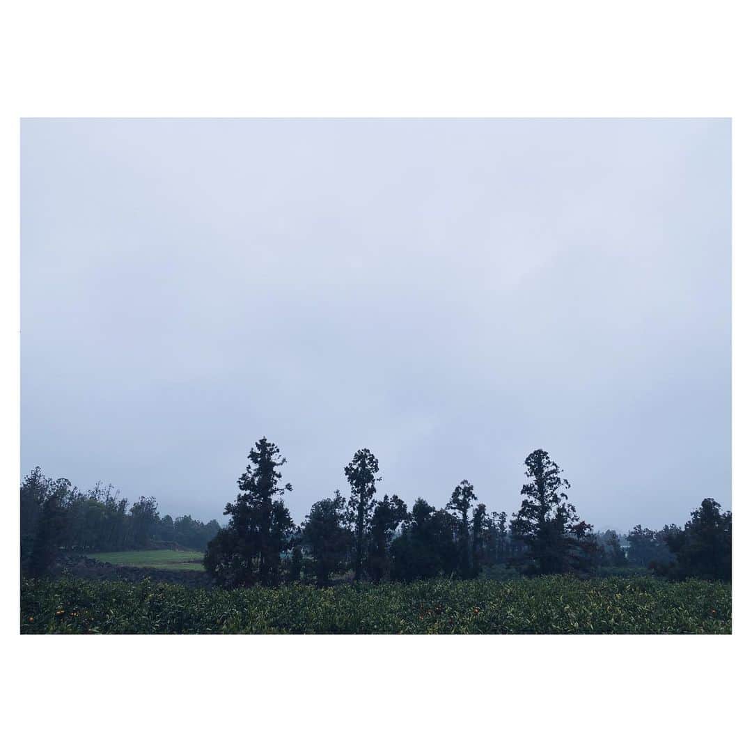 チン・ジェヨンのインスタグラム：「. 나는 흐린하늘도 너무좋아요.  . . #진재영일몬도jeju  . .」