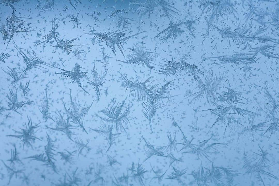 Michael Yamashitaさんのインスタグラム写真 - (Michael YamashitaInstagram)「Winter by design: Jack Frost decorates windows in Hokkaido, Japan. But over time, window frost has become far less prevalent in the modern world due to the advance of double-glazing. I found these one of a kind fern-like patterns on the windows of an old jeep after a particularly cold night. #frost #jackfrost  #hokkaidowinter #japanwinter」1月22日 8時57分 - yamashitaphoto