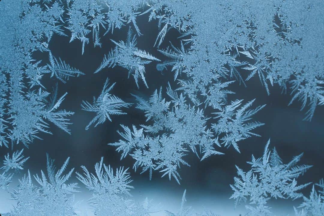 Michael Yamashitaのインスタグラム：「Winter by design: Jack Frost decorates windows in Hokkaido, Japan. But over time, window frost has become far less prevalent in the modern world due to the advance of double-glazing. I found these one of a kind fern-like patterns on the windows of an old jeep after a particularly cold night. #frost #jackfrost  #hokkaidowinter #japanwinter」