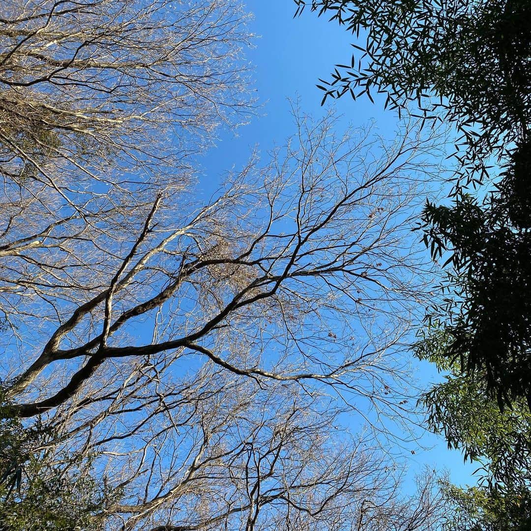 神谷えりさんのインスタグラム写真 - (神谷えりInstagram)「今日も綺麗な青空！  #朝散歩 #散歩で出会う風景」1月22日 8時57分 - erikamiya