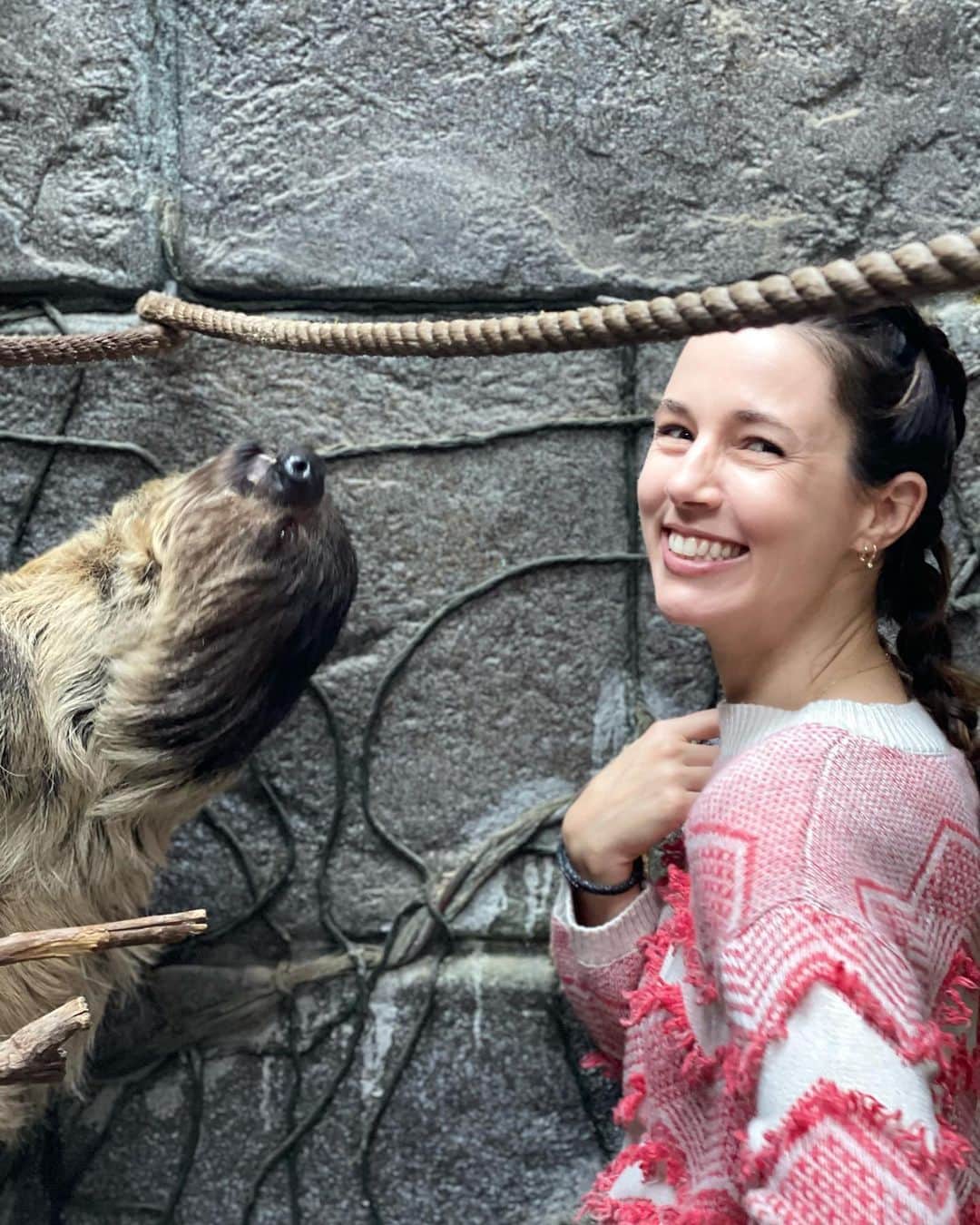 アロナ・タルさんのインスタグラム写真 - (アロナ・タルInstagram)「It’s an “I’m overjoyed cause I’m with Sid the sloth” kind of moods @wildlifelearningcenter」1月22日 9時07分 - alonatal