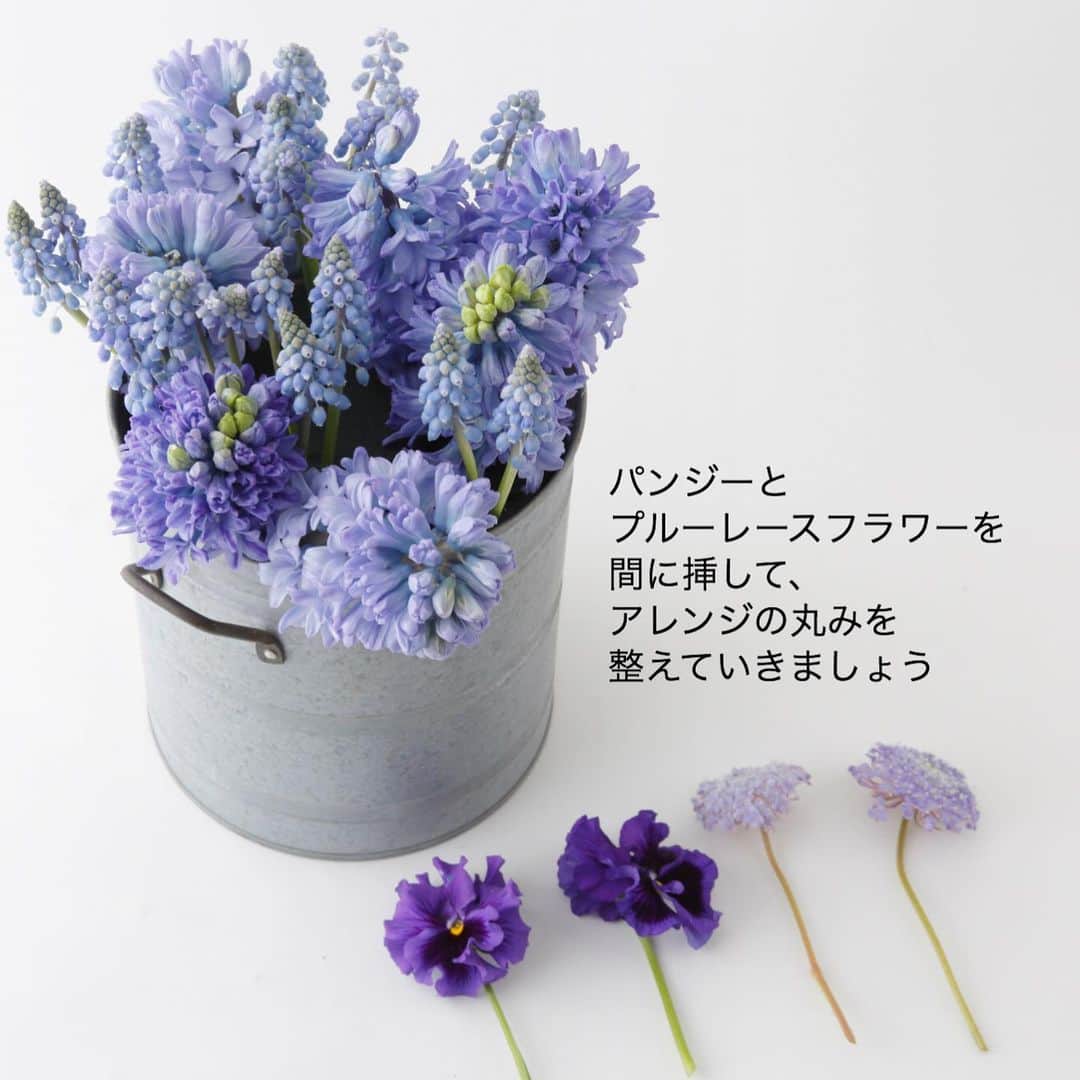 雑誌『花時間』さんのインスタグラム写真 - (雑誌『花時間』Instagram)「おはようございます。いまの季節、お花屋さんで目立つのは紫や青いお花。  なぜかな？？？ 頭をめぐらしても 球根生まれのお花に 紫のお花が多いことくらいしか 思いつきません😅  アネモネにも印象的な 紫がありますよね。  今日のお花便でも ﻿ ﻿ヒヤシンス﻿ パンジー﻿ ムスカリ﻿ ブルーレースフラワー  ※写真内の文字がプルーレースフラワーになっていますが、打ち間違いです😭 プルーって…﻿ ﻿ 本日は、そんな春のお花で﻿ ミニレッスン開催でーす♬﻿ ﻿ 写真をスライドして見ていって。﻿ ﻿ 以前、花時間でギフトとして﻿ 提案したときのアレンジなので﻿ 吸水性スポンジを使っていますが、﻿ 参考になる部分はあると思います。  ふーん、 お花屋さんって こんなふうに お花を挿して いるんだぁーって。  オープンキッキンのお店で 調理する様子を眺めるのって 楽しいですよね。 あんな感じかな？﻿ ﻿ スポンジを使って﻿ まねてみたい方は﻿ お花屋さんに﻿ 聞いてみてくださいね！﻿ ﻿ では、本日も元気smile😊😊😊で﻿ 頑張りましょう！ by ピーターパン  花 @flowerasebi  写真 @satomi.ochiai78 ﻿ ﻿ #flowers #flowerslovers #flowerstagram #flowerarrangement  #花時間 #花時間2021  #花好き #花藝 #花好きな人と繋がりたい #花が好きな人と繋がりたい #花のある生活 #花のある暮らし #花を飾る #花を飾る生活  #ヒヤシンス #ムスカリ #パンジー #紫の花  #きれいな花 #春よ来い #香りのある暮らし  #ビタミンf #hyacinth  #pansy  #grapehyacinth  #フラワーアレンジメント #花屋さんへ行こう」1月22日 9時18分 - hanajikan_magazine