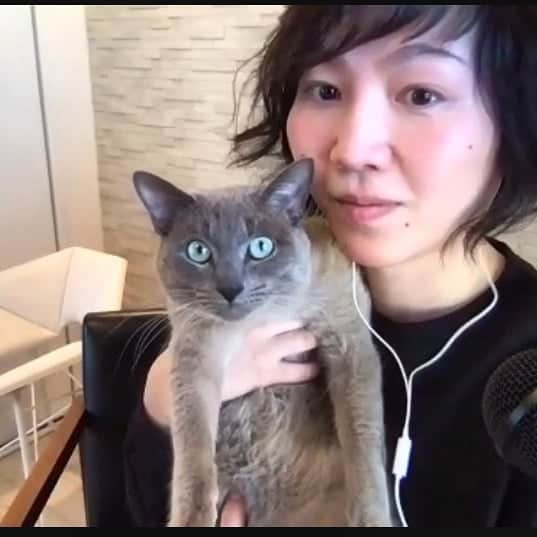 川村由紀のインスタグラム：「今夜金曜20時〜21時O.A！#サーカス君 と一緒にリモート収録で、私なりの「真冬のシティポップ」特集選曲&トークをお届けします。アーカイヴでも是非！  #blockfm #shibuyaOIRAN warmup Radio by #カワムラユキ   #citypop #シティポップ」
