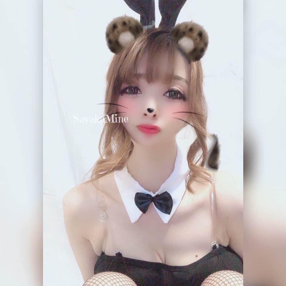 峰さやかのインスタグラム：「* GM💋 * * * #フォロー大歓迎 #フォロワー募集中 * #バニーガール #バニー #bunnygirl #gravure #kawaii #beautiful #フォローお願いします #写真好きな人と繋がりたい #セクシー #カメラマンさんと繋がりたい #写真撮ってる人と繋がりたい #被写体 #網タイツ #フォローミー  #photography #谷間 #followme #love #camera #happy #instafashion #instagood #cosplay #instacool #太もも #性感內衣 #性感美女 #エロ可愛い」