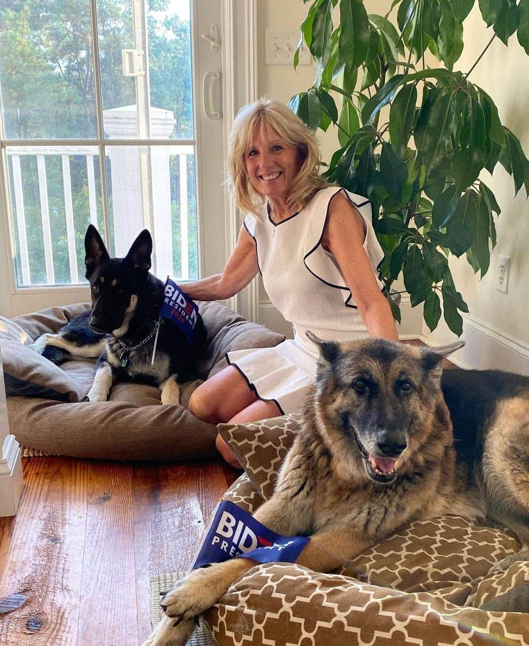 アニマルプラネットさんのインスタグラム写真 - (アニマルプラネットInstagram)「Meet the DOTUS, or Dogs of the United States! After a four year absense, the White House now has four-legged residents in the house. Welcome to Washington, Champ & Major!  📸 from @drbiden/IG.  . . . . . #dotus #champandmajor #germanshepherd #jillbiden #joebiden #animalplanet #dogs #presidentialpets #animals #potus #flotus #champ #major」1月22日 1時13分 - animalplanet