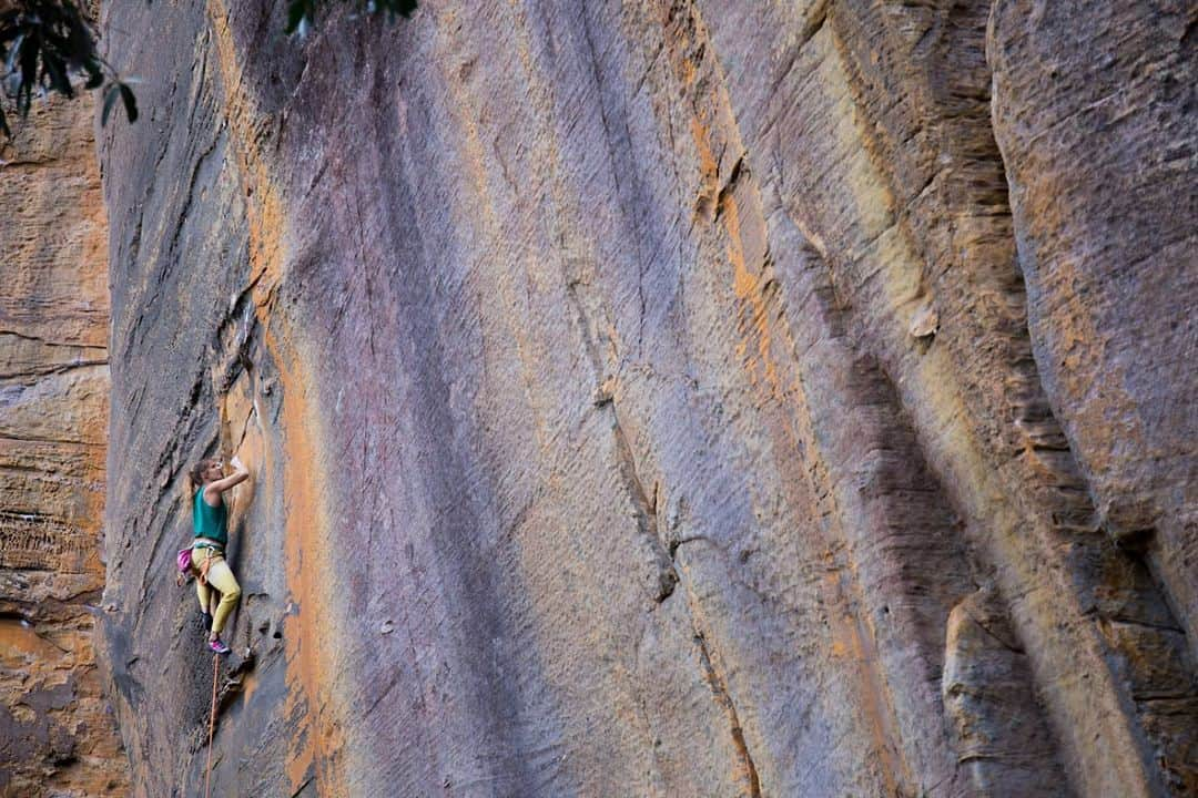 シャーロット・デュリフさんのインスタグラム写真 - (シャーロット・デュリフInstagram)「❓ Imagine a climbing ban in Yosemite, Kalymnos, Rocklands, Fontainebleau, Margalef or Squamish ?  Well the Grampians in Australia are another one of these special places in the World and are in high danger of getting almost fully banned for climbers, and it is simply inconceivable. 😭  ➡️➡️➡️ Check out @acav_official or @verticallifemag recent posts and links to learn more about the situation which is more than unfair and short-sighted and how we, climbers, can and need to act (in many ways!) by this Sunday ⚠️  Pics from @joshlrsn @chadurif @coldhousemedia from our trip in the Grampians in 2017 during #aworldlesstraveled  @mountainhardwear @petzl_official @eb_climbing @volxholds @luxov_connect」1月22日 1時22分 - chadurif