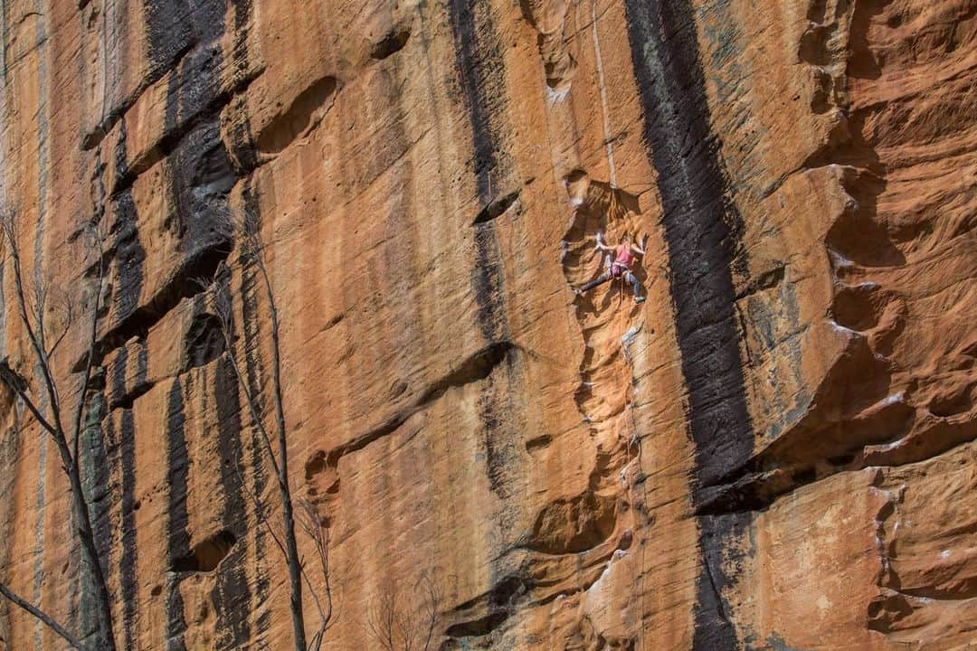 シャーロット・デュリフさんのインスタグラム写真 - (シャーロット・デュリフInstagram)「❓ Imagine a climbing ban in Yosemite, Kalymnos, Rocklands, Fontainebleau, Margalef or Squamish ?  Well the Grampians in Australia are another one of these special places in the World and are in high danger of getting almost fully banned for climbers, and it is simply inconceivable. 😭  ➡️➡️➡️ Check out @acav_official or @verticallifemag recent posts and links to learn more about the situation which is more than unfair and short-sighted and how we, climbers, can and need to act (in many ways!) by this Sunday ⚠️  Pics from @joshlrsn @chadurif @coldhousemedia from our trip in the Grampians in 2017 during #aworldlesstraveled  @mountainhardwear @petzl_official @eb_climbing @volxholds @luxov_connect」1月22日 1時22分 - chadurif