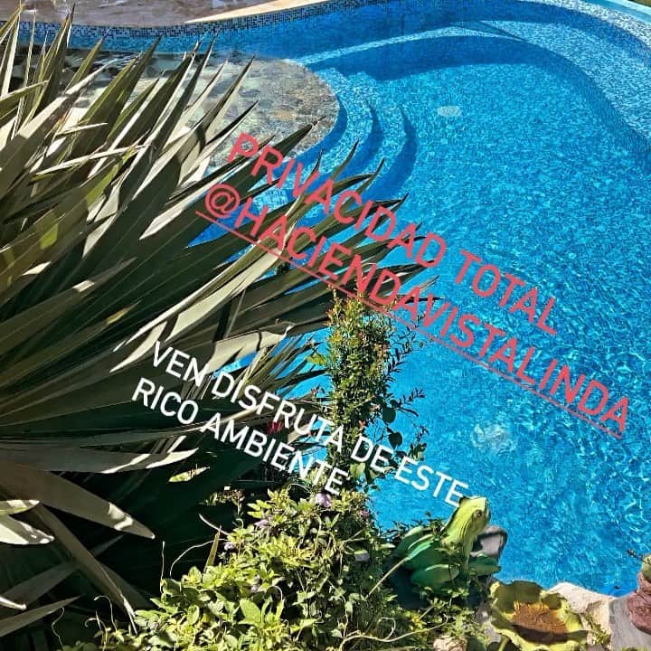 ジョーダン・ノルベルトのインスタグラム：「@haciendavistalinda」