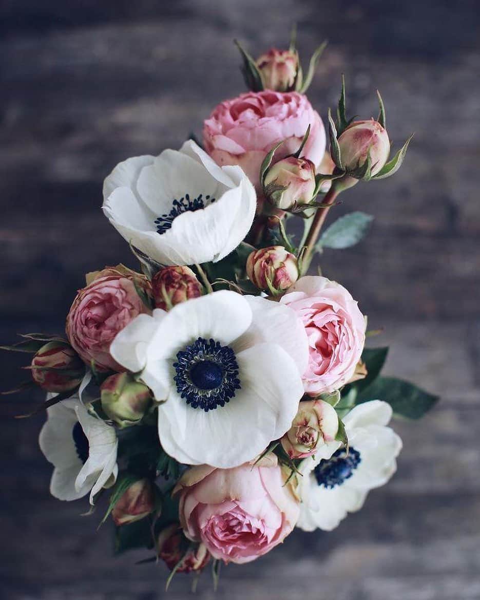 ジェラールダレルさんのインスタグラム写真 - (ジェラールダレルInstagram)「Just for pleasure.... Wish you all a nice evening 🌷 #GerardDarel #Flowers」1月22日 3時09分 - gerarddarel