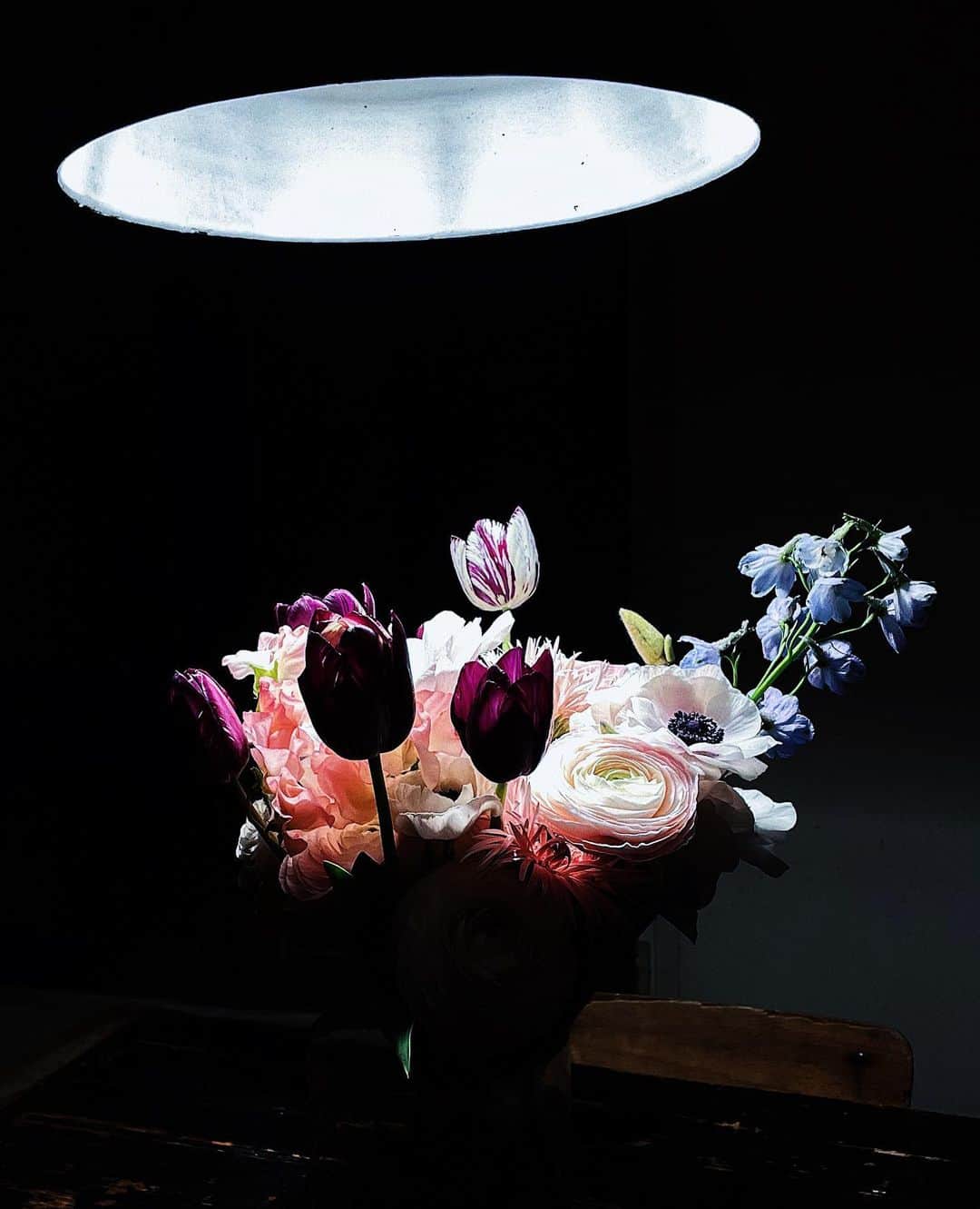 カロリーヌ・ド・メグレのインスタグラム：「Winter flowers」