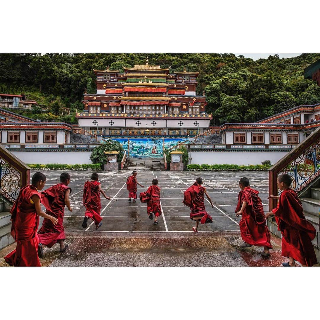 スティーブ・マカリーさんのインスタグラム写真 - (スティーブ・マカリーInstagram)「Young monks run in the courtyard of Lingdum Monastery also known as Ranka in #Sikkim, #India, 2019.  #SteveMcCurry #SteveMcCurryIndia」1月22日 3時28分 - stevemccurryofficial
