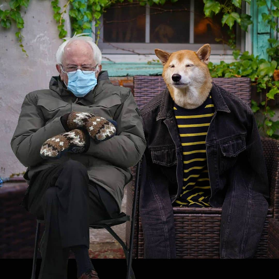 Menswear Dogさんのインスタグラム写真 - (Menswear DogInstagram)「Caption These 😏  #BernieSanders #inauguration2021 #vermontdadcore」1月22日 4時24分 - mensweardog