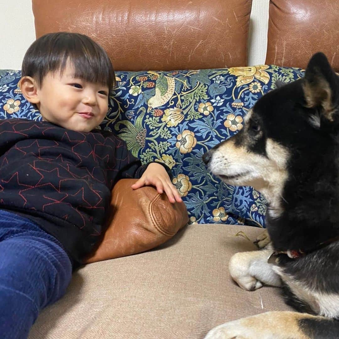 vo_coさんのインスタグラム写真 - (vo_coInstagram)「👣🐾 最近、仲が良さげなぼくたち ＊ 関係性は以前よりはかなり良化してますが未だに🧒🏻→🐕かなり片想いです😂 ＊ #こたつとぼくちゃん  #shibastagram #instashiba #shiba #shibainu #黒柴 #柴犬」1月22日 9時54分 - vo_co