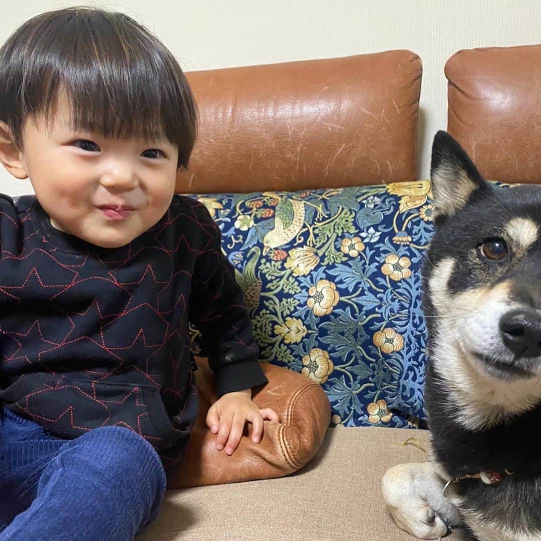 vo_coのインスタグラム：「👣🐾 最近、仲が良さげなぼくたち ＊ 関係性は以前よりはかなり良化してますが未だに🧒🏻→🐕かなり片想いです😂 ＊ #こたつとぼくちゃん  #shibastagram #instashiba #shiba #shibainu #黒柴 #柴犬」