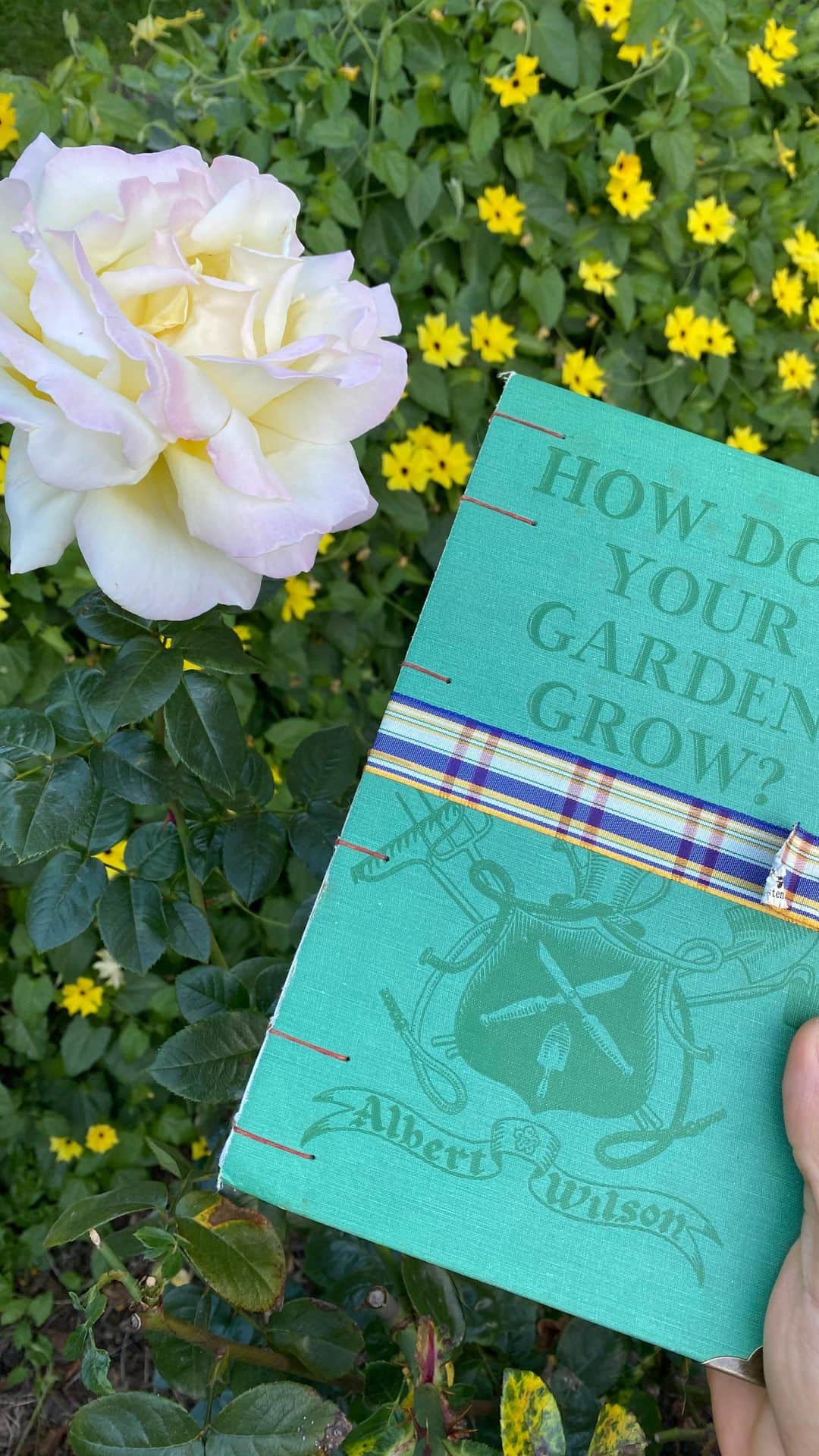 ジェイソン・ムラーズのインスタグラム：「I am loving creating the new year inside this handcrafted journal from @apageofmary. #sograteful」