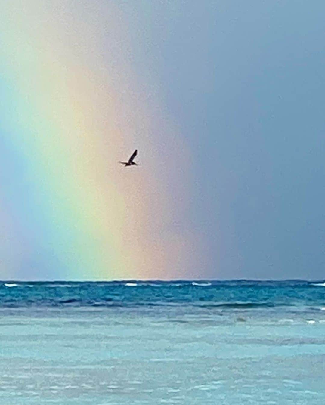 クリスティ・ブリンクリーさんのインスタグラム写真 - (クリスティ・ブリンクリーInstagram)「The  rainbow after the storm. I think it’s a sign! ❤️💙🌈  #newdawn」1月22日 4時46分 - christiebrinkley