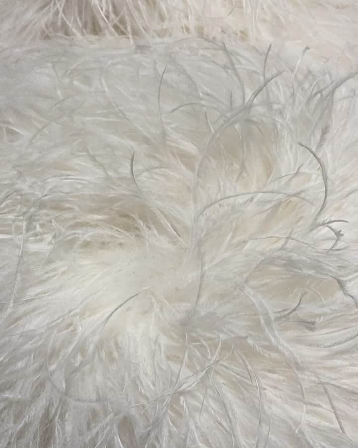 アレクシマビーユのインスタグラム：「Angel Wings @alexismabille #angelwings #white #pure #inmotion #lightness #sosoft #alexismabillehautecouture #lairdutemps #craftmanship #plumassiers #details #refinement #birds #whitebird #volatile #feathers」