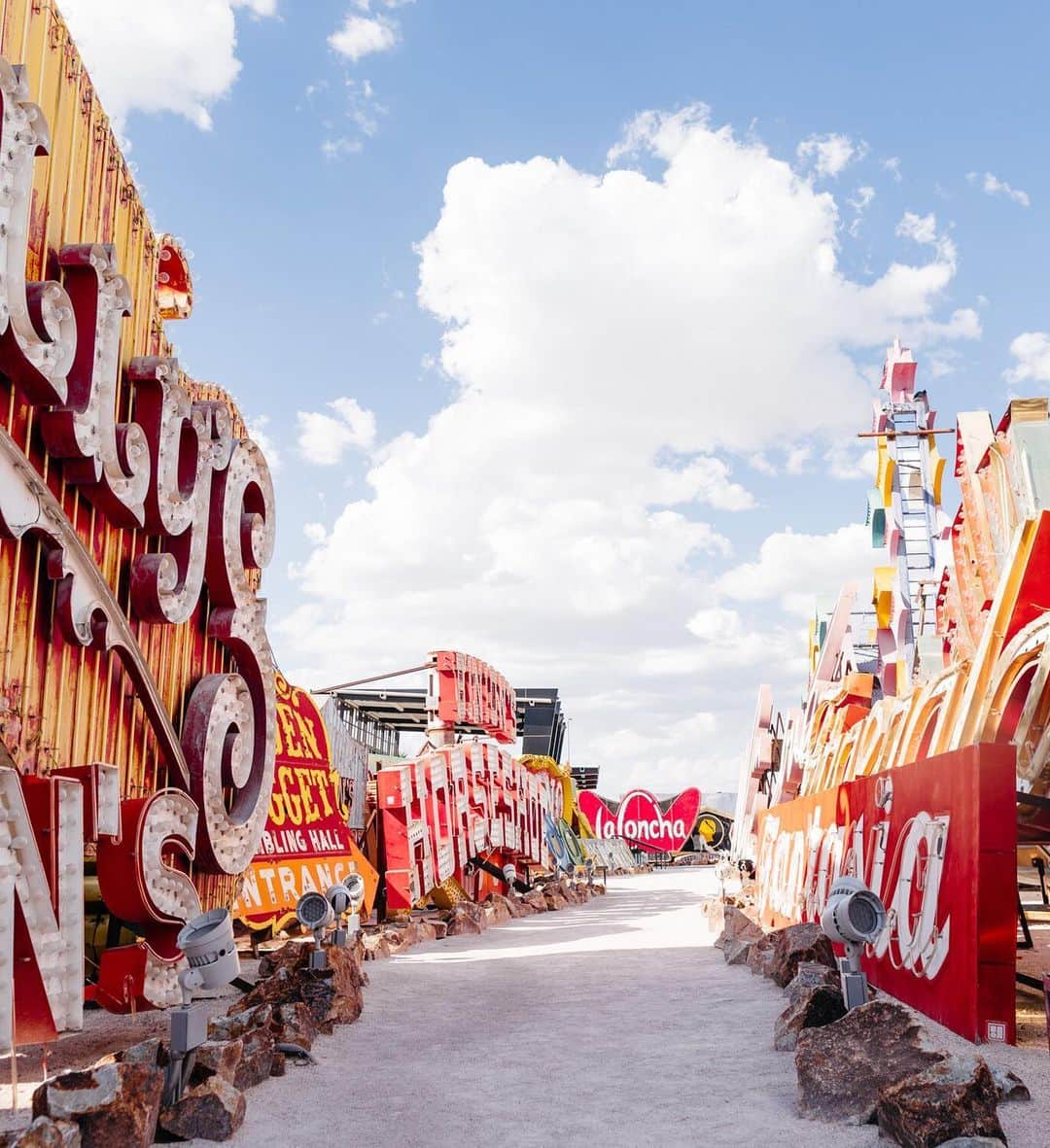 Andrew Knappのインスタグラム：「Find Momo around the @theneonmuseumlasvegas. This was a favourite day when we were travelling and shooting our second book. Was fun digging these shots up and reliving the moment.」