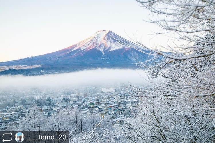 のインスタグラム：「. . 今回のフィーチャーは @___tomo_23  さんの素敵な1枚👏 ご投稿ありがとうございます！ そして、おめでとうございます✨  これからもお写真の投稿楽しみにしています😊✨ ぜひ皆さんも、#カメラガールズ #東京カメラガールズ をつけて投稿してみてくださいね！ 素敵な写真を見つけ次第、こちらのアカウントでご紹介させていただきます😊 . . . . ＼部員募集／ カメラガールズメンバーになると 楽しいイベントや貴重な体験が 盛りだくさん！ 🖥 www.camera-girls.net カメラガールズ で検索してぜひ部員登録してね！ 登録は無料です(*´ᴗ`*)♪ . . . .」