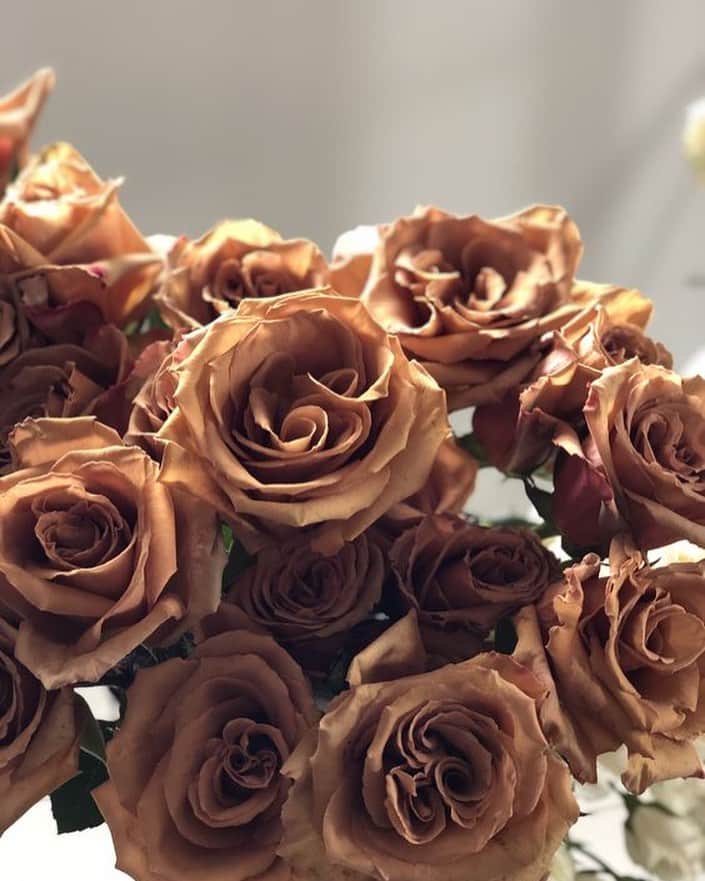 のインスタグラム：「“She was not fragile like a flower; She was fragile like a bomb” 💥 ~Rahul Singh Rathour」