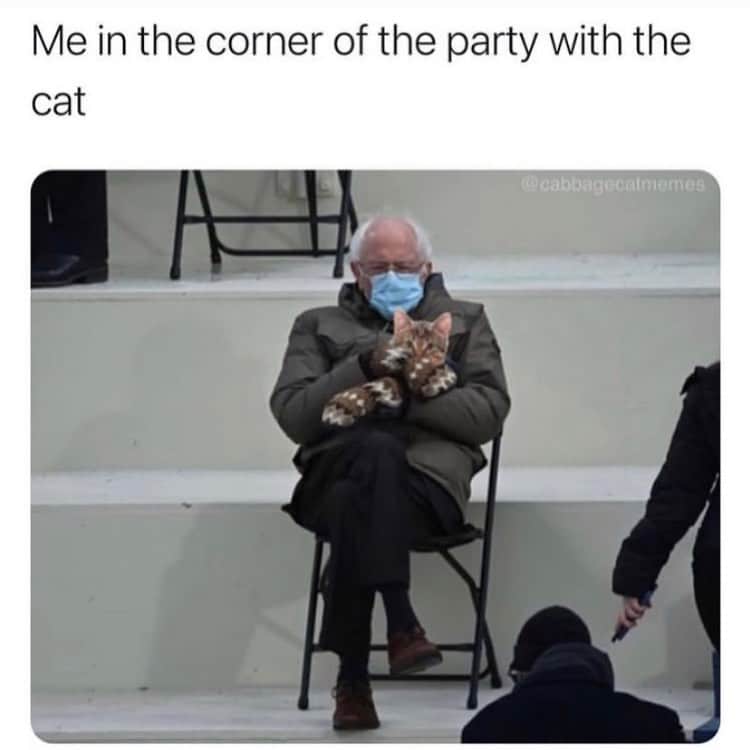 The Cats Of Instagramのインスタグラム：「💁🏻‍♀️ (Credit: Unknown)」
