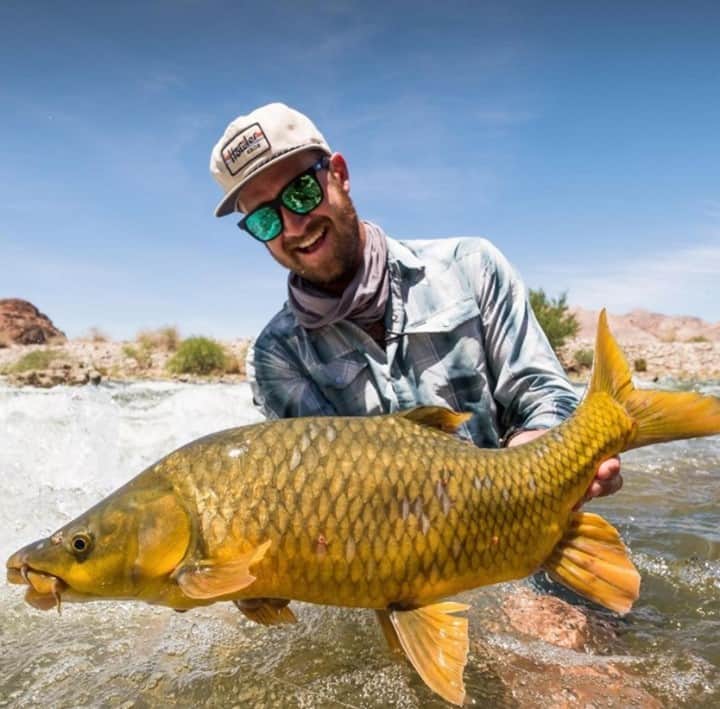Costa Sunglassesのインスタグラム：「Yellow on the swing. 📷: @luke_pannell @christiaanpretorius #SeeWhatsOutThere」