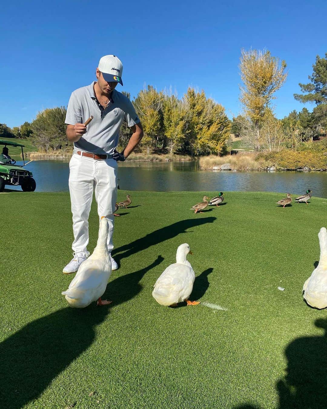 ブランドン・トーマス・リーのインスタグラム：「Big duck guy... Love ducks.」