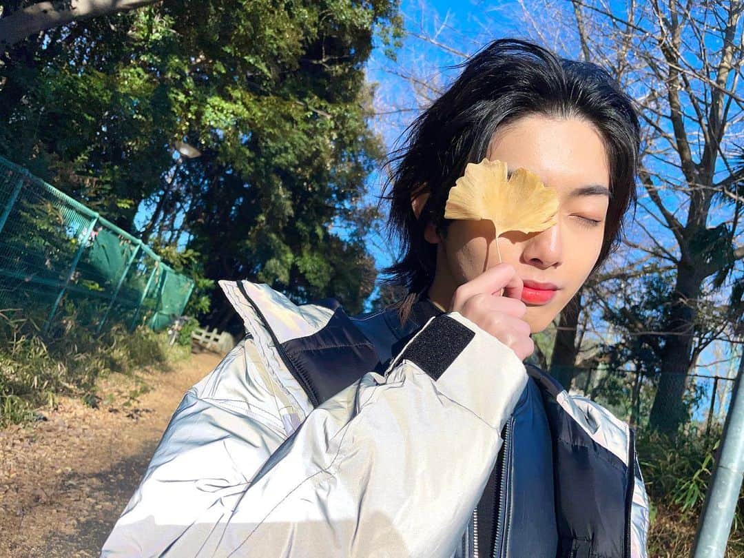 のインスタグラム：「ぼく と いちょう🍁」