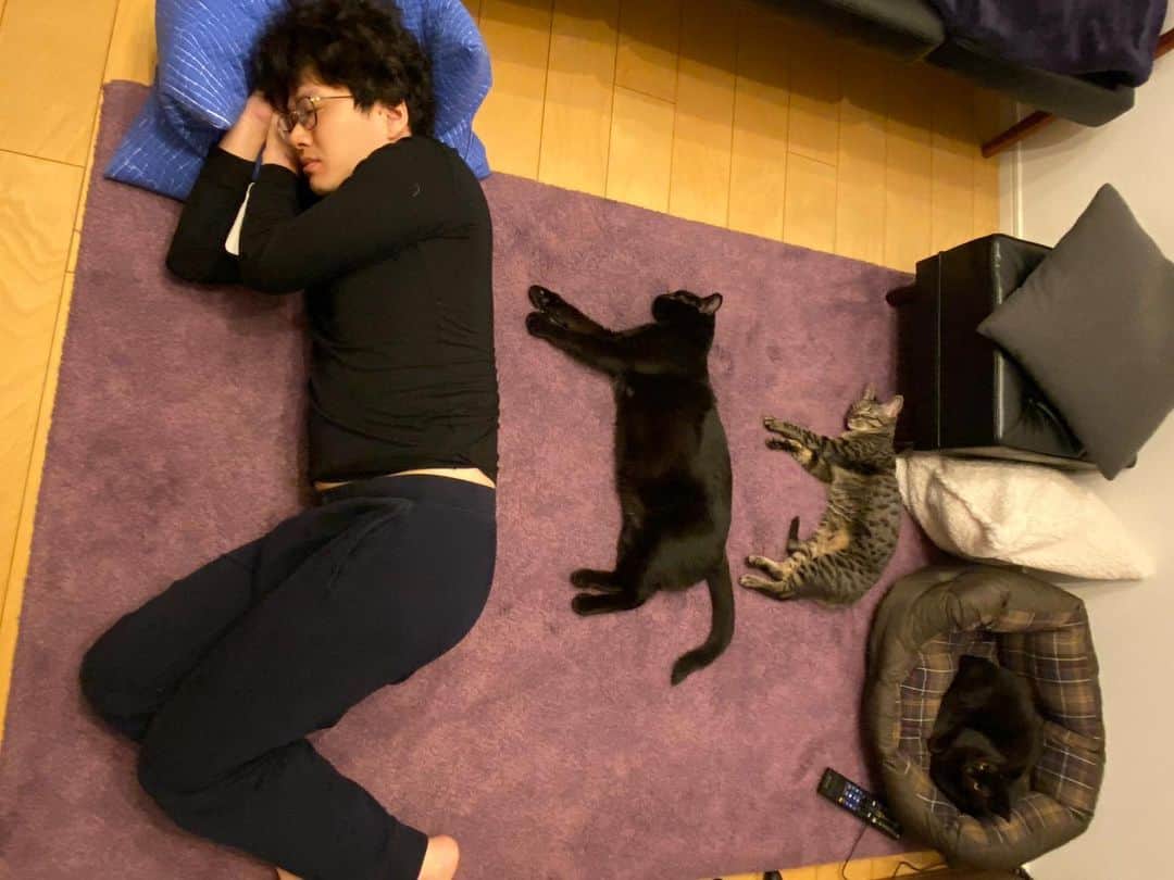 亜生さんのインスタグラム写真 - (亜生Instagram)「いい写真撮れました。   　　　　　　　　#助六 #藤　　　　 #銀次郎 #リーダー #ホットカーペットの上 #猫ってこんなに寝るんかと言うくらいずっと寝る #年末年始 #ずっと僕は家にいましたが #猫たちはずっと嫌そうな顔してました #リーダーが邪魔らしい #俺の家やけどな #俺が本気出したら #ベランダから放りだせるけどな #かわいいから絶対そんなんしいひんけど #何されても一生面倒みるけど #マジ家族なんやけど #戸籍入れたいんやけど #ラブなんやけど #保護猫 #捨て猫」1月22日 17時44分 - aseihurricane