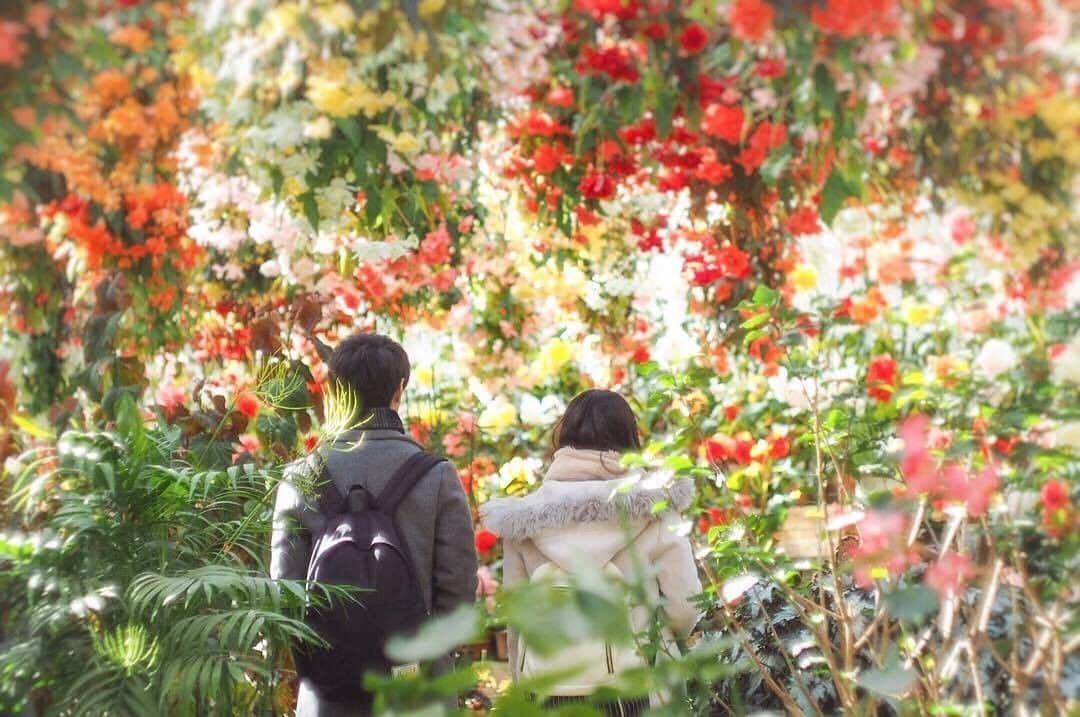 TOBU RAILWAY（東武鉄道）のインスタグラム