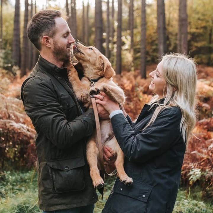 Barbour Japanのインスタグラム：「英国のアウトドア・ライフスタイルを体現するバブアーでは、店頭・ECにてドッグ用小物・ウェアのコレクションの取り扱いも 行っております。  @barbourdogs のアカウントも是非ご覧ください。  #BarbourDogs 📸 @barneythegoldenbear」