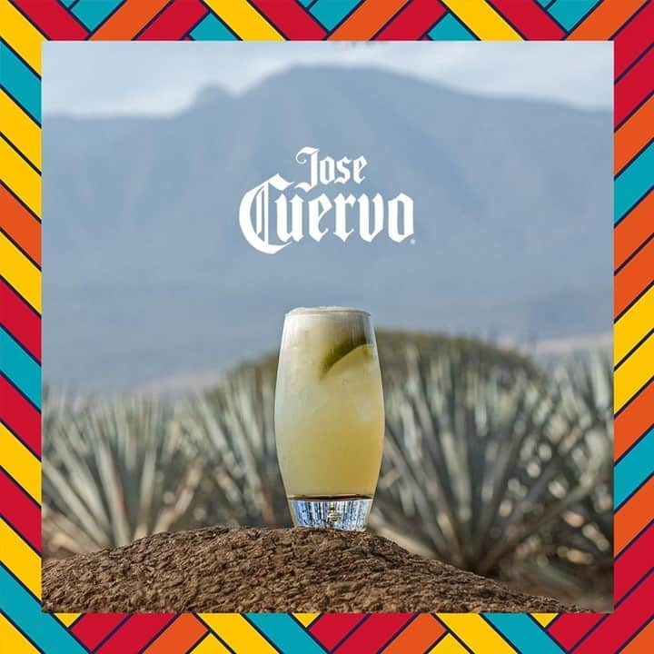 Jose Cuervo Japanのインスタグラム