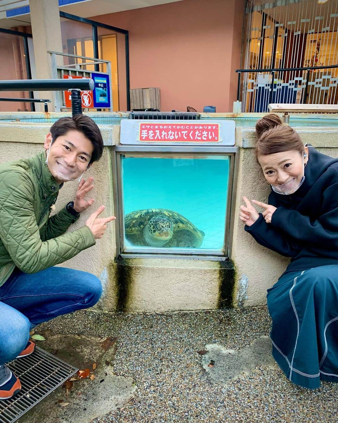 須藤駿介のインスタグラム：「. 今日の生中継は 「下田海中水族館」から癒しのお魚 そして、イルカのショーをお届け！ 【元気】は注入されましたか？？ されていたら嬉しいです！  ※下田海中水族館は現在 感染症対策のため 2月7日までは土曜、日曜のみの 営業となります。  #下田海中水族館  #まるごと #生中継」