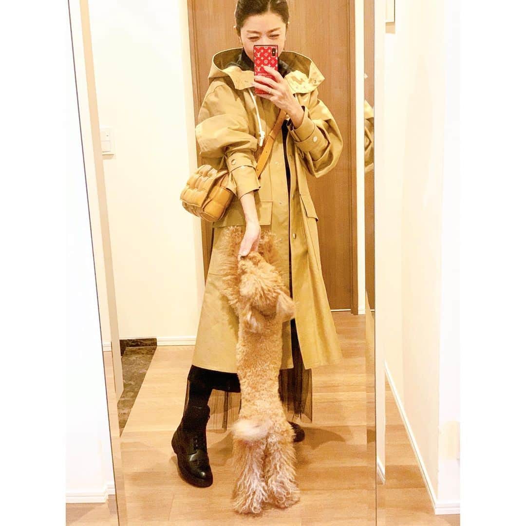 坂田陽子さんのインスタグラム写真 - (坂田陽子Instagram)「暖かくて チュールレースのスカートでも履きたい気分。 かるた🐩はお散歩と勘違い？ ・ ・ 土日は都心でも降雪の可能性がって？？ 皆さま。体調にお気をつけ下さい😊 ・ ・ #暖かい1日 #それだけでなんだか嬉しい #スーパーに行くだけでも」1月22日 18時07分 - yokosakata