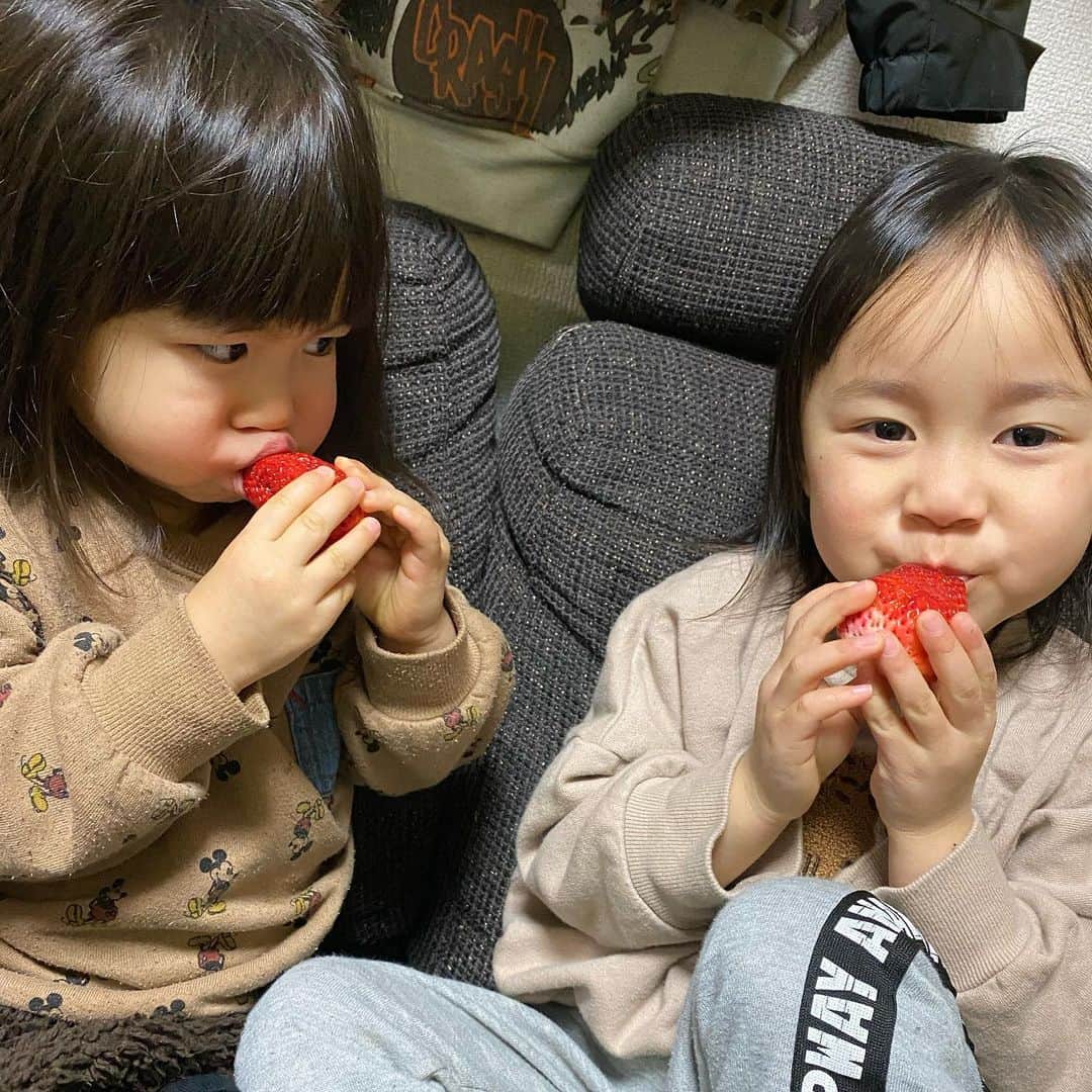 美奈子さんのインスタグラム写真 - (美奈子Instagram)「大好きな大好きな方から 大好きな大好きなイチゴを頂き とってもいいお顔の子供たち(❁˘ ˘❁)  美味しいものを食べるといいお顔\♥︎/  イチゴの美味しい季節だね💕  #イチゴの美味しい季節 #頂き物  #ありがとうございます #美奈子」1月22日 18時28分 - minako_official