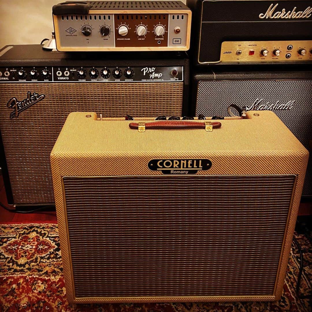 浅田信一のインスタグラム：「新しい仲間🎸📻  #mynewgear  #cornellromany  #cornellromany12  #cornellromanyplus」