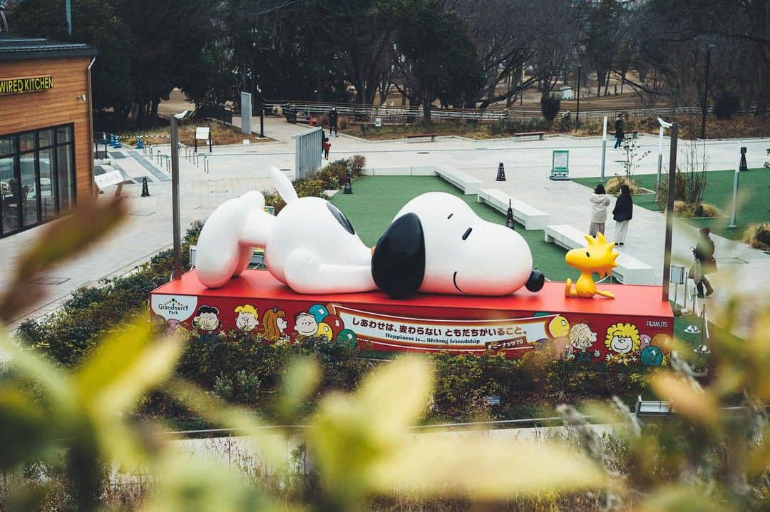 SNOOPY MUSEUM TOKYOのインスタグラム：「#snoopymuseumtokyo #schulzmuseum #snoopy #スヌーピーミュージアム #スヌーピー #peanuts70」