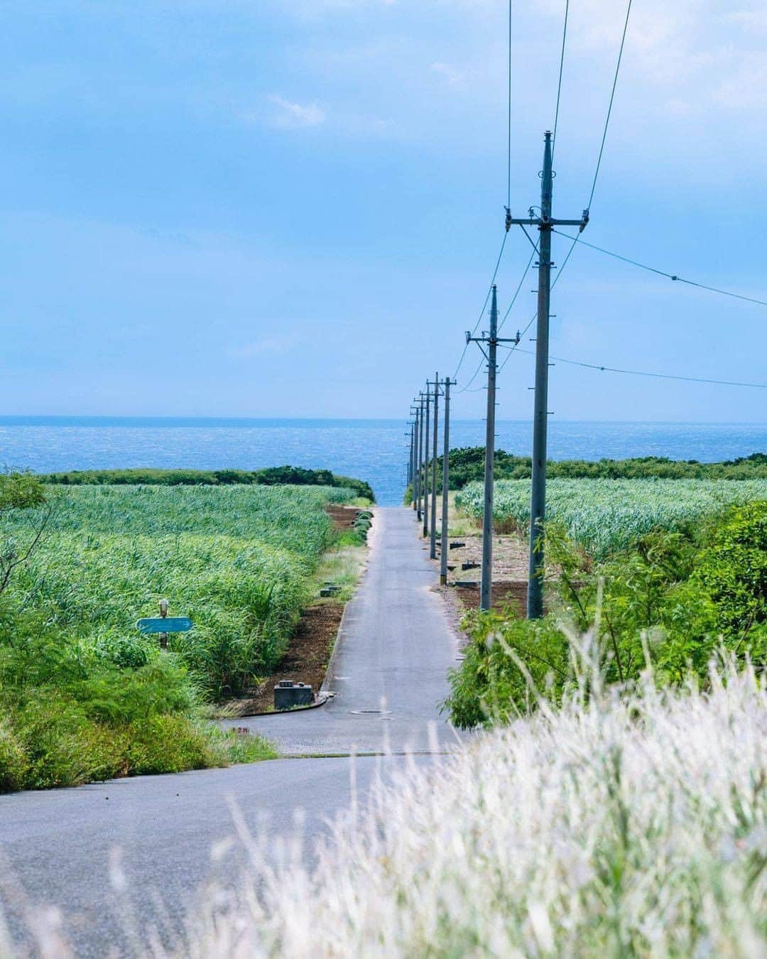 Be.okinawaのインスタグラム：「Just go straight down the path until the gentle sea breeze and “Hateruma Blue” greet you!  📍: Hateruma Island 📷: @ryuichi_trip Thank you very much for the wonderful photo!  Hateruma Island is the southernmost island in Japan and has a population of about 500 people. What makes the scenery charming and gives you a sense of warm feelings are the vast sugar cane fields throughout the island where no traffic lights or public bus stop signs come into your sight.  Tag your own photos from your past memories in Okinawa with #visitokinawa / #beokinawa to give us permission to repost!  #haterumaislands #yaeyamaislands #sugarcane #波照間島 #八重山群島 #サトウキビ #日本最南端 #하테루마섬 #야에야마제도 #countryside  #japan #travelgram #instatravel #okinawa #doyoutravel #japan_of_insta #passportready #japantrip #traveldestination #okinawajapan #okinawatrip #沖縄 #沖繩 #오키나와 #旅行 #여행 #打卡 #여행스타그램」