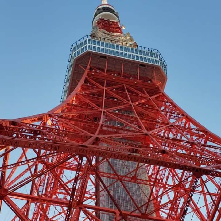 インゴのインスタグラム