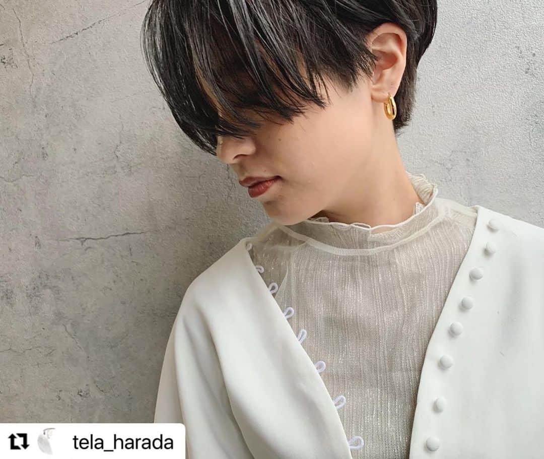 THROW 【スロウ】さんのインスタグラム写真 - (THROW 【スロウ】Instagram)「#Repost @tela_harada with @make_repost ・・・ 過去のスタイルと、伝わる写真に対する意味の言語化を模索中🤔  #トランクスショート は  前髪、サイド、後ろのウエイトの高さをいかにバランスよく創るかがキモ🤔  重さで出した丸みは、量感調整とエレベーションを使ったベースカットがキモになります🤔  首元がモタつきやすい冬場のショートスタイルに是非✨  #くびれミディ #くびれスタイル  #レイヤーボブ  #レイヤーカット  #レイヤーミディアム  #レイヤー #くびれボブ  #ウルフカット  #ウルフボブ  #ウルフレイヤー  #ウルフヘア  #くびれショート #トランクスショート #トランクスヘア #グラボブ #前下がりショート  #ミディアムレイヤー #ピンクカラー #ピンクグレージュ #レイヤーボブ  #三宮美容室 #三宮美容院 #神戸美容室 #神戸美容院 #元町美容室 #元町美容院 #throwcolor  #スロウカラー」1月22日 10時46分 - throwcolor