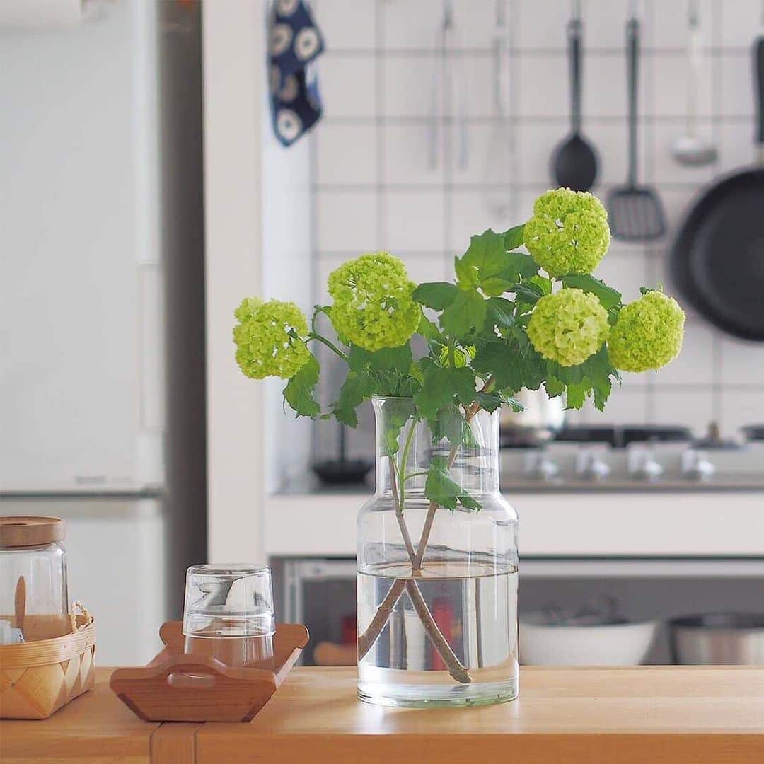 北欧、暮らしの道具店さんのインスタグラム写真 - (北欧、暮らしの道具店Instagram)「当店の人気者♪ ガラス花瓶で、インテリアに彩りを。 . - - - - - - - - - - - - 買ってきた枝ものを、サッと活けるだけで サマになるのがうれしい！ テクニックのいらない 「リューズガラス」のガラスの花瓶。  床置きしても安定感あるのに、 テーブルの上においても邪魔にならない絶妙サイズ。  口が大きいので、洗ったり お手入れのしやすさも魅力なんです♪  食卓に少しグリーンがあるだけで、 お気に入りの空間に変わりそうです◎ 新生活のプチ模様替えにもおすすめですよ。 . - - - - - - - - - - - - リューズガラス/フラワーベース（高さ26cm） . #interior#interiors#livingroom#homedecor#instahome#homewares#green#flower##模様替え#花瓶#フラワーベース#グリーンのある暮らし#リューズガラス#グリーン#植物#インテリア#北欧インテリア#リビング#暮らしを楽しむ#日々の暮らし#北欧#暮らし#北欧暮らしの道具店」1月22日 10時53分 - hokuoh_kurashi