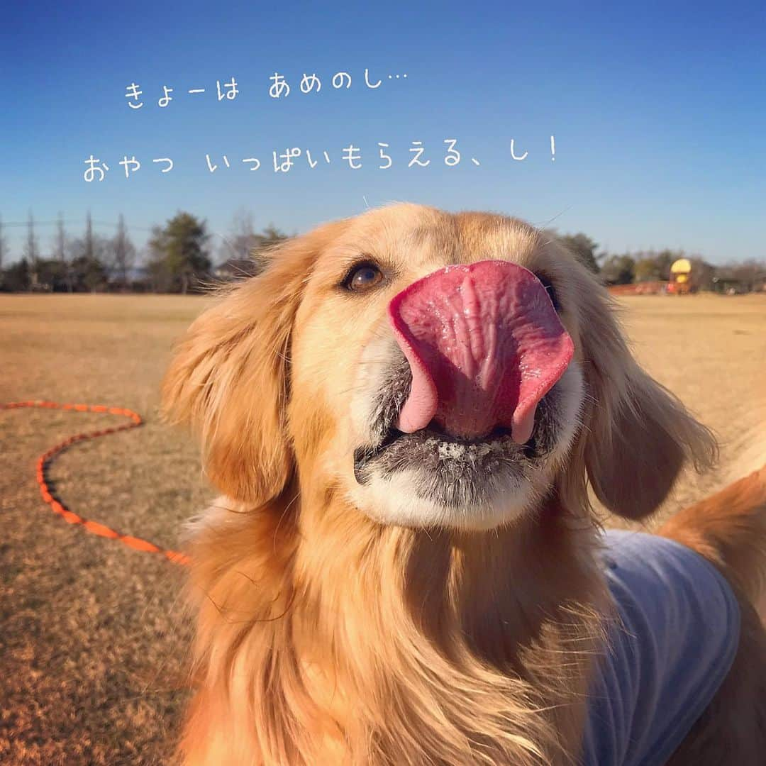 ikumiのインスタグラム