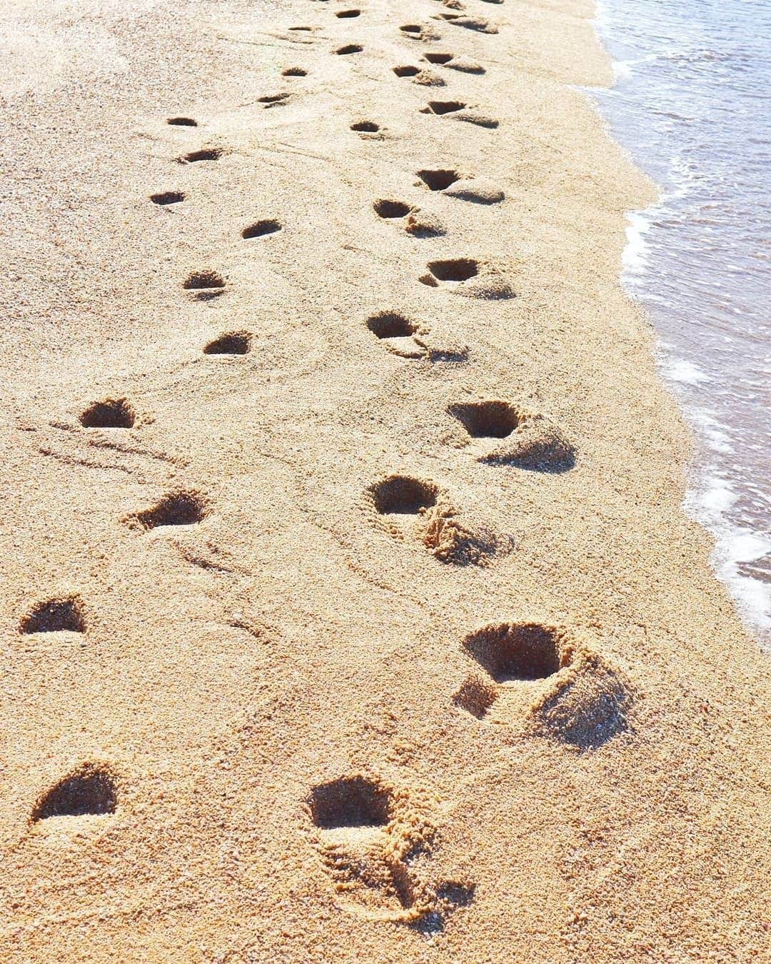 のインスタグラム：「寒い日の砂浜⠀ 二人で並んで歩けば、 どんな風が吹いても暖かいと思える‥‥⠀ Photo by  @nana.cafe365 ⠀ https://www.instagram.com/p/CIk-lXzgUEE/⠀ .⠀ ＼ユーザーのみなさまの作品を紹介中／⠀ .⠀ Canonの小さなミラーレス、EOS M200・M100・M10のいずれかで撮影された写真に、指定のハッシュタグをつけて投稿いただいた作品をシェアさせていただきます！⠀ .⠀ ▽指定ハッシュタグはこちら⠀ EOS M200で撮影 ⇒ #my_eosm200⠀ EOS M100で撮影 ⇒ #my_eosm100⠀ EOS M10 で撮影 ⇒ #my_eosm10⠀ .⠀ （※）紹介させていただく際は事前にご連絡はいたしませんのでご了承ください。⠀ （※）投稿いただく写真に使用される著作物、肖像については、ご本人が著作権を有するもの、又は権利者から事前に使用承諾を得たものであるものとします。ご投稿いただく写真に関して万一問題が生じた場合は当事務局は責任を負いかねますことご了承ください。⠀ .⠀ EOS M200の詳細は、本アカウントのプロフィール（ @canon_eosm ）にあるURLからご覧ください。⠀ .⠀ #おうち時間⠀ #EOSM200スタイル⠀ #my_eosm200⠀ #らしさにであう #らしさがひろがる⠀ #LIFEwithCAMERA #LIFE_with_CAMERA #カメラのある生活 ⠀ #Canon #キヤノン #EOS #EOSM #EOS_M #EOSM200 #EOS_M200」