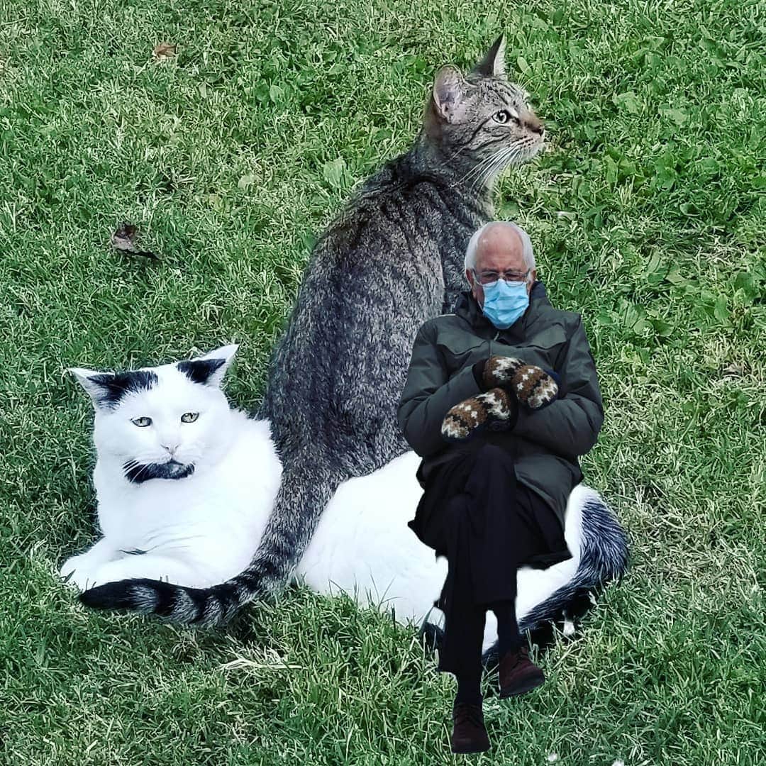 Garyのインスタグラム：「Wow, Mittens. Just because you might break a hip doesn't mean I won't knock you on your ass.」