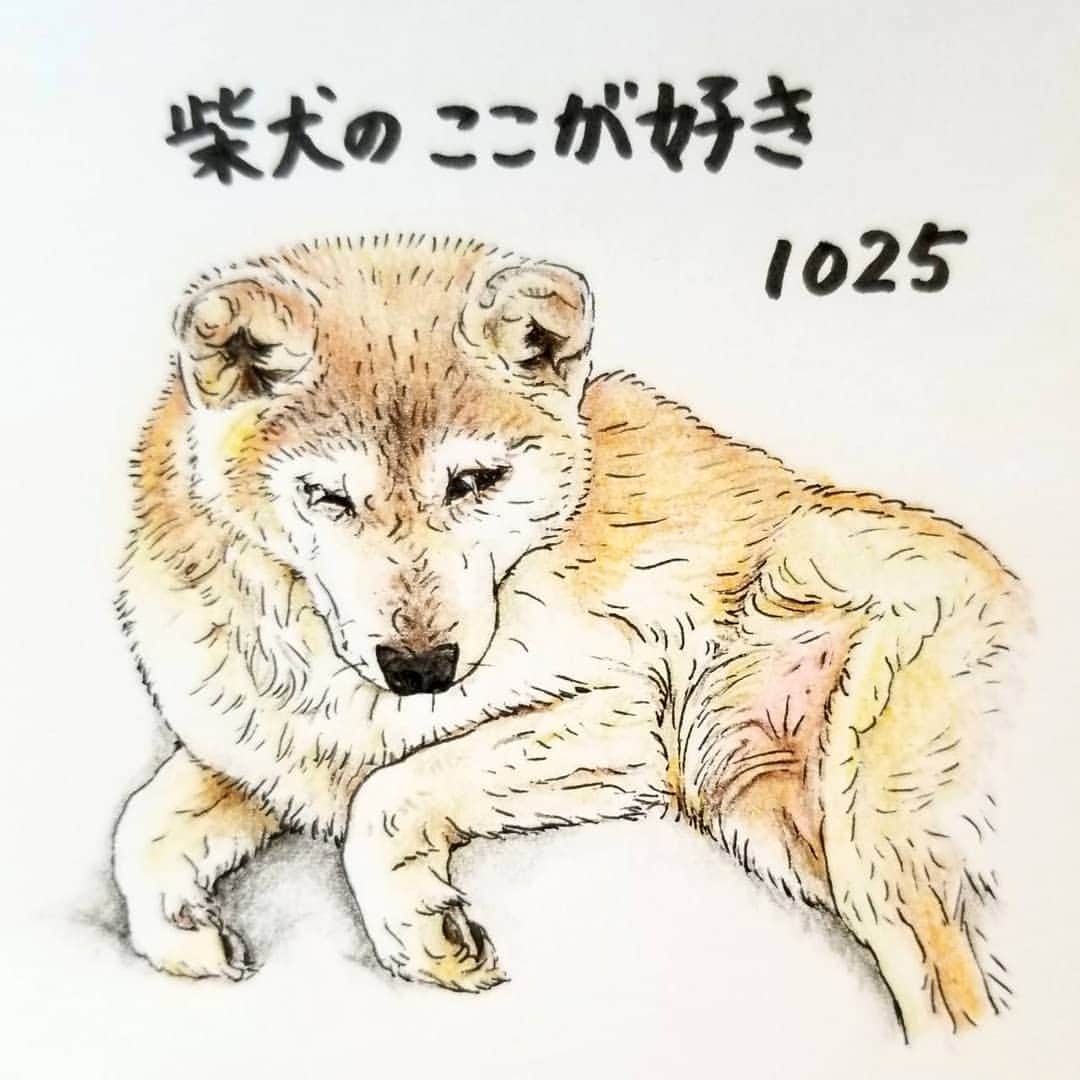ハナとソラのインスタグラム