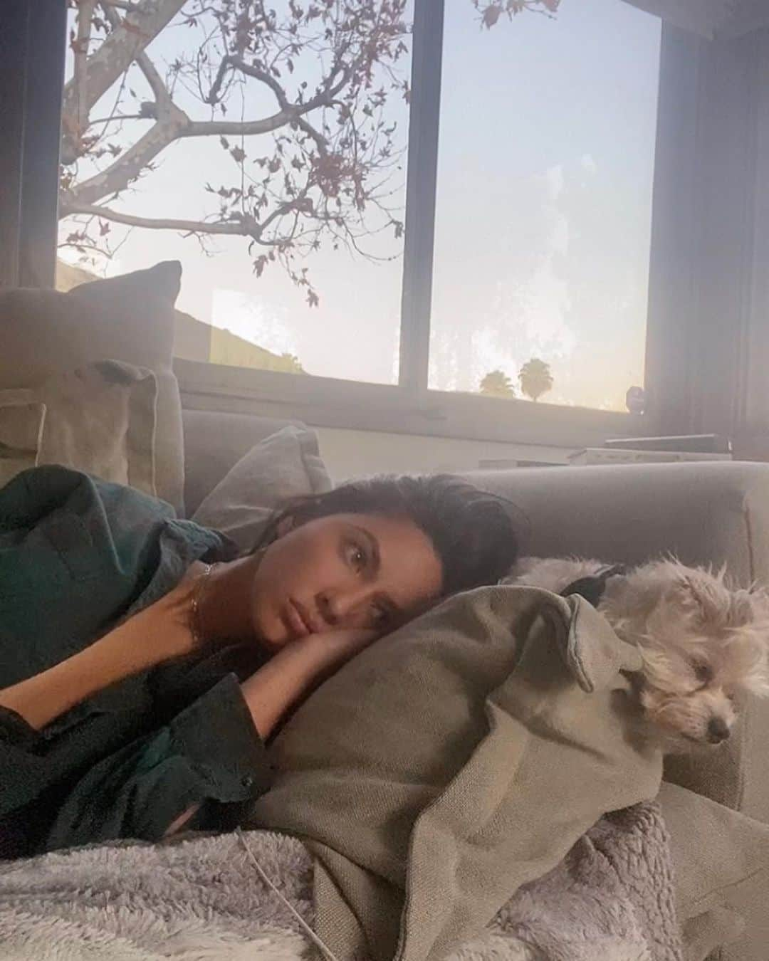 オリヴィア・マンさんのインスタグラム写真 - (オリヴィア・マンInstagram)「Two lazy pups 🐶🤎」1月22日 12時40分 - oliviamunn